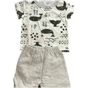 Chick Pea Baby clothes- 3-6 month pajama short and shirt